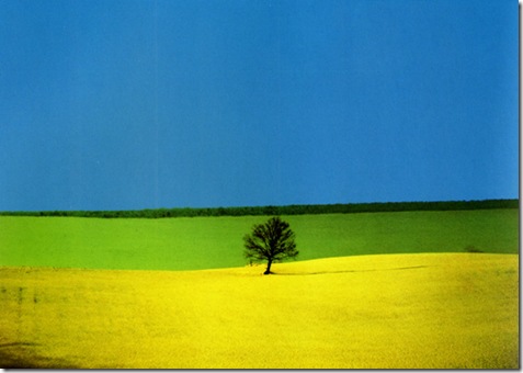 exposicion-fotografica-franco-fontana-4738