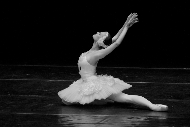 9016987281_00c214d36e_o